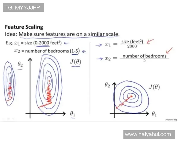 深入探讨上海足球队在赛季中的技术表现与数据分析结果
