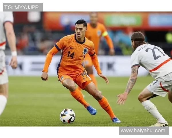 荷兰足球明星的妻子们：她们的故事与生活揭秘