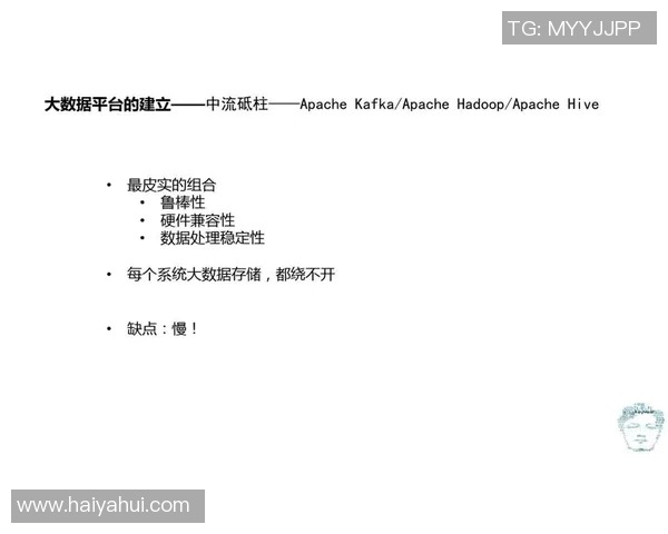 深入探讨上海篮球队的技术表现与数据分析的关键因素及其影响